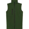 soft-vest-bg-l_01.jpg